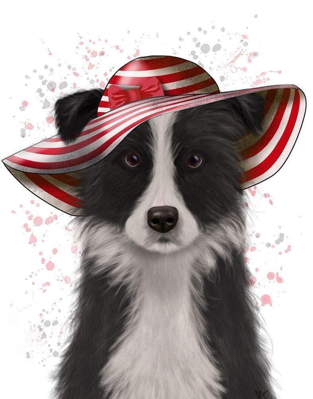 2740 Border Collie in Red and White Floppy Hat Poster Print - Funky Fab 24